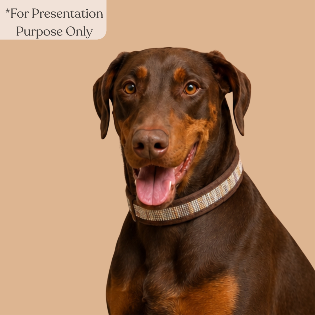 Upcycled Handcrafted Dog Collar (DC0726-001)
