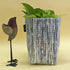Multicolored Upcycled Handwoven Grow Pot Medium (GPM0824-008) PS_W