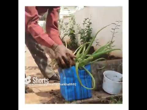 Matte Clear Plastic with Multicolor and Green Bands Upcycled Handwoven Grow Pot Medium (GPM0224-101)