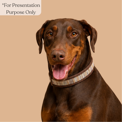 Upcycled Handcrafted Dog Collar (DC0726-002)