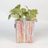 Handwoven Upcycled Small Grow Pot (GPS0925-003) PS_W