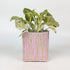 Handwoven Upcycled Small Grow Pot (GPS0925-006) PS_W