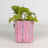Handwoven_Upcycled_Small_Grow_Pot_GPS0226-012_PS_W