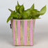 Handwoven Upcycled Small Grow Pot (GPS0426-004) PS_W
