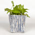 Handwoven Upcycled Small Grow Pot (GPS0426-005) PS_W