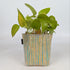 Handwoven Upcycled Small Grow Pot (GPS0526-006) PS_W