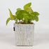 Handwoven Upcycled Small Grow Pot (GPS0526-012) PS_W