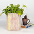 Mix Colors with Red Pink shades Upcycled Handwoven Grow Pot Big (GPB0124-104)