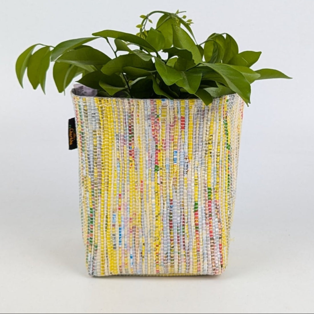 Multicolored Handwoven Upcycled Small Grow Pot (GPS0125-003) PS_W