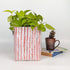 Upcycled Handwoven Grow Pot Big (GPB0725-002) PS_W